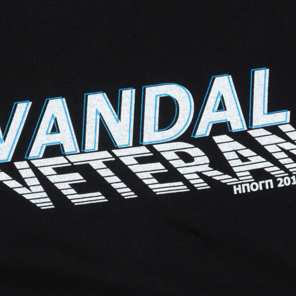 Футболка «Vandal Veteran»